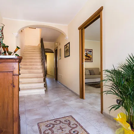 Monte Prama 3* Càbras