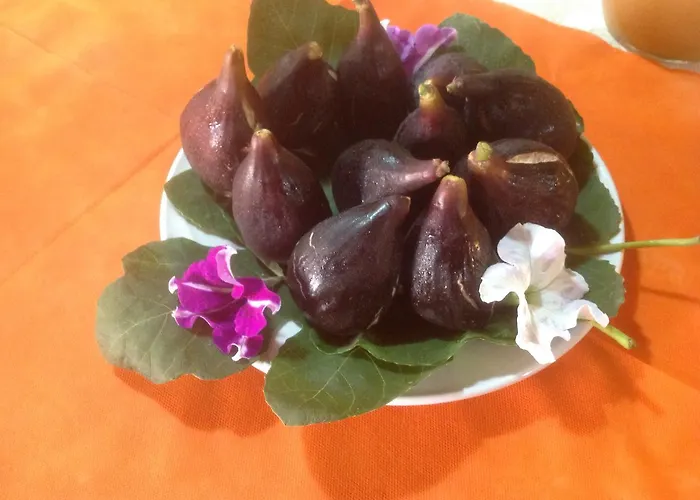 Monte Prama Bed and breakfast Cabras